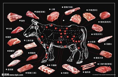 牛肉位置|牛排–牛肉各部位名称图解